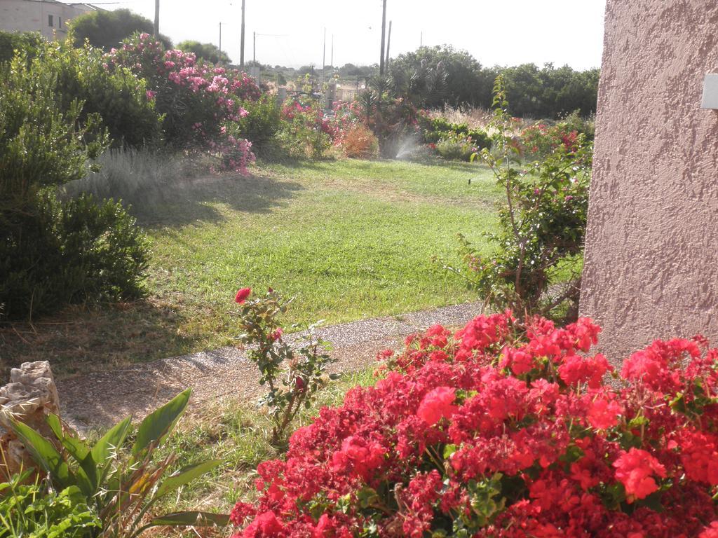 Anthemis Aparthotel Stavros  Exterior photo